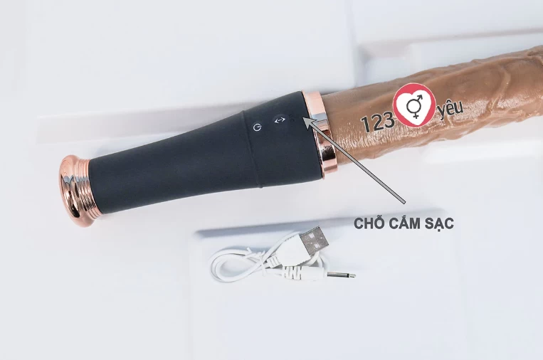 Dương vật giả ngụy trang gậy bóng chày rung thụt