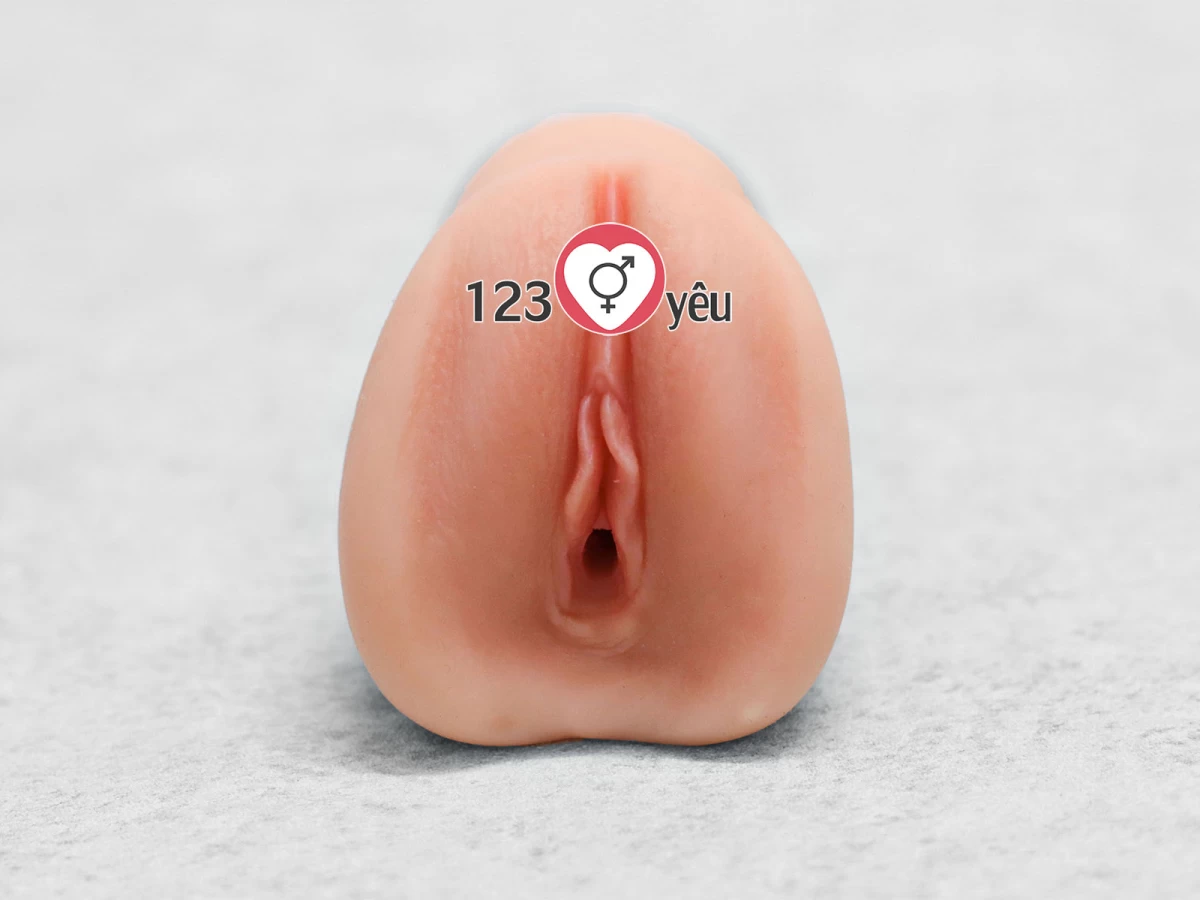 Âm đạo giả cầm tay Realistic Pussy
