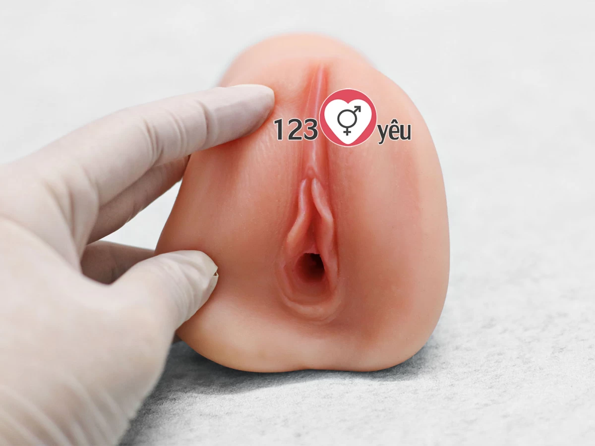 Âm đạo giả cầm tay Realistic Pussy