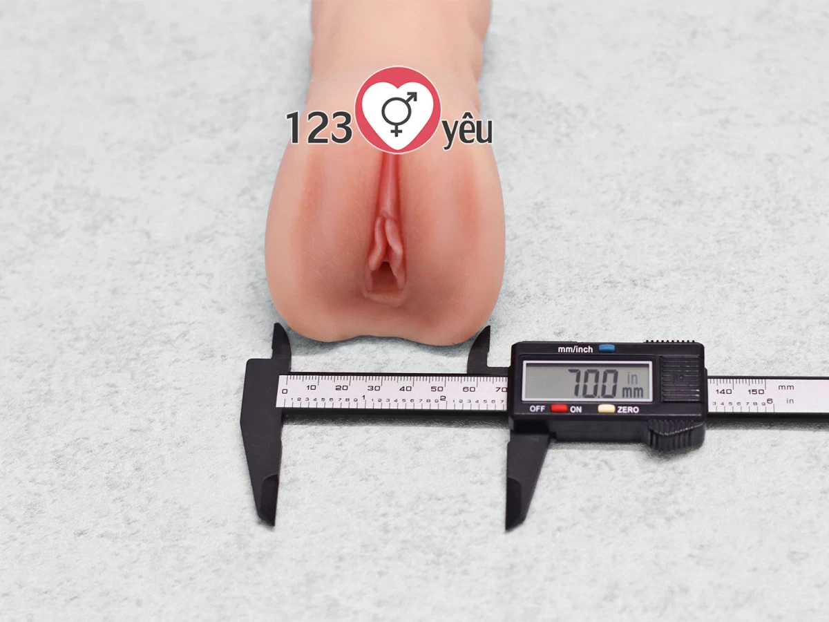 Âm đạo giả cầm tay Realistic Pussy
